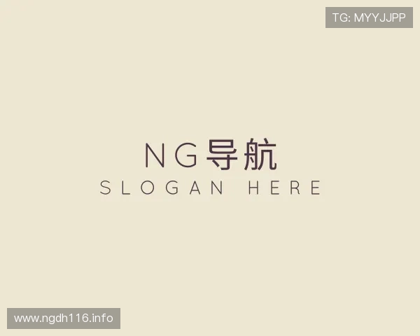 阐述ng导航